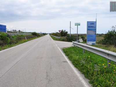 Ci avviamo ora verso il mare, passando sotto la trafficata statale e approdando cos� sulla complanare: in questo tratto stiamo ricalcando il tracciato della via Appia Antica. Ci immergiamo nella zona umida del parco dall'entrata del lido Morelli, uno dei tanti che collabora con il consorzio